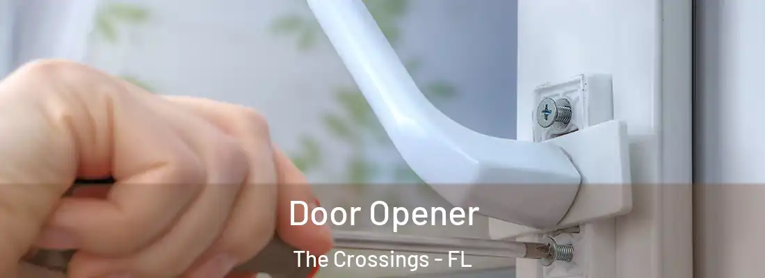 Door Opener The Crossings - FL