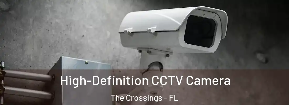  High-Definition CCTV Camera The Crossings - FL